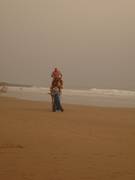 2 Kamele und ein Touareg 2 Kamele und ein Touareg